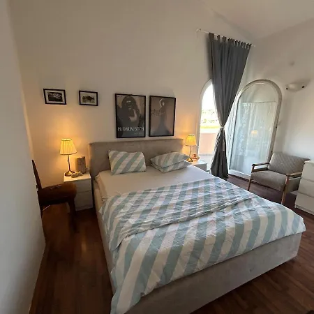 Seaview And Sandy Apartment